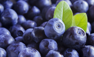Bilberry Extract