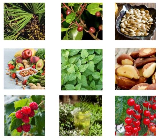 ProstaLiss Ingredients